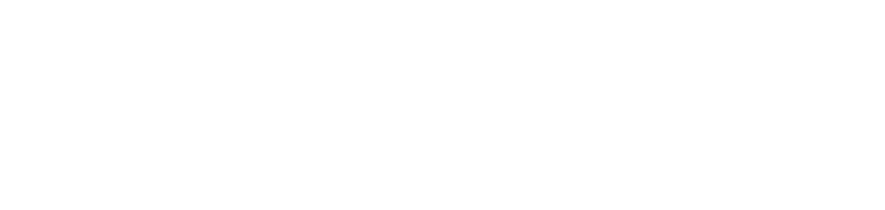 GEMMYMEDICAL-GEMMYTEC GROUP SINCE 2009